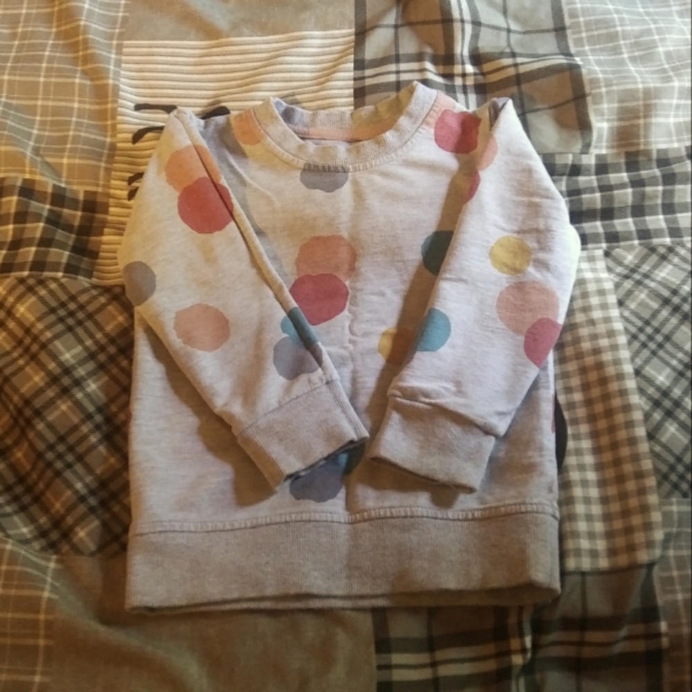 Girl Sweatshirt size 2-3T